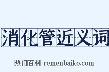 消化管近义词是什么意思的图片